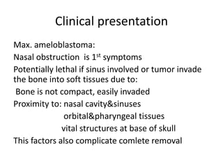 Clinical presentation
Max. ameloblastoma:
Nasal obstruction is 1st symptoms
Potentially lethal if sinus involved or tumor invade
the bone into soft tissues due to:
Bone is not compact, easily invaded
Proximity to: nasal cavity&sinuses
orbital&pharyngeal tissues
vital structures at base of skull
This factors also complicate comlete removal
 