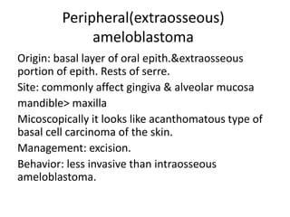 Peripheral(extraosseous)
ameloblastoma
Origin: basal layer of oral epith.&extraosseous
portion of epith. Rests of serre.
Site: commonly affect gingiva & alveolar mucosa
mandible> maxilla
Micoscopically it looks like acanthomatous type of
basal cell carcinoma of the skin.
Management: excision.
Behavior: less invasive than intraosseous
ameloblastoma.
 