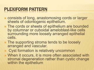 PLEXIFORM PATTERN
 consists of long, anastomosing cords or larger
sheets of odontogenic epithelium.
 The cords or sheets of epithelium are bounded
by columnar or cuboidal ameloblast-like cells
surrounding more loosely arranged epithelial
cells.
 The supporting stroma tends to be loosely
arranged and vascular.
 Cyst formation is relatively uncommon
 When it occurs, it is more often associated with
stromal degeneration rather than cystic change
within the epithelium
 