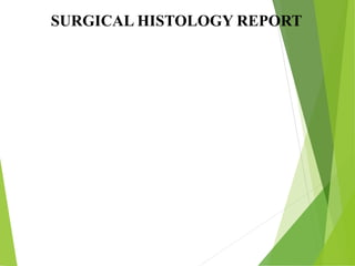 SURGICAL HISTOLOGY REPORT
 