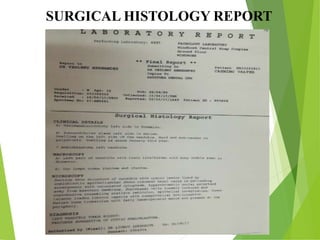 SURGICAL HISTOLOGY REPORT
 