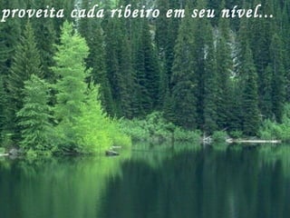 proveita cada ribeiro em seu nível...
 