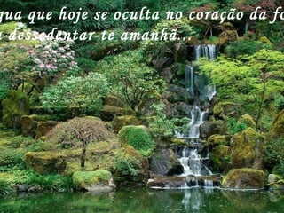 gua que hoje se oculta no coração da fo
a dessedentar-te amanhã...
 