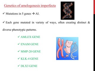 Genetics of amelogenesis imperfecta
 Mutations in 5 genes  AI.
 Each gene mutated in variety of ways, often creating distinct &
diverse phenotypic patterns.
 AMLEX GENE
 ENAM GENE
 MMP-20 GENE
 KLK-4 GENE
 DLX3 GENE
 