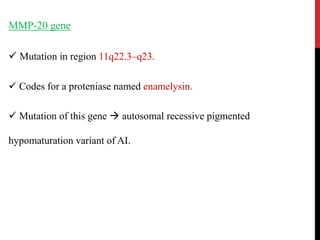 MMP-20 gene
 Mutation in region 11q22.3–q23.
 Codes for a proteniase named enamelysin.
 Mutation of this gene  autosomal recessive pigmented
hypomaturation variant of AI.
 