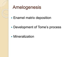 Amelogenesis
 Enamel matrix deposition
 Development of Tome’s process
 Mineralization
 