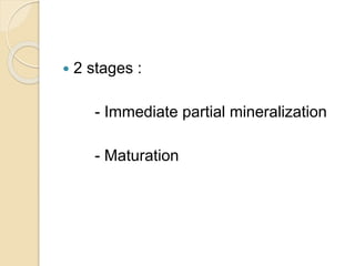  2 stages :
- Immediate partial mineralization
- Maturation
 