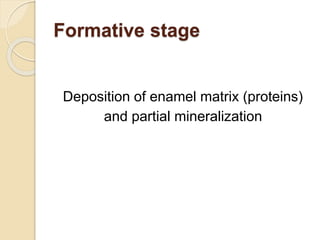 Formative stage
Deposition of enamel matrix (proteins)
and partial mineralization
 