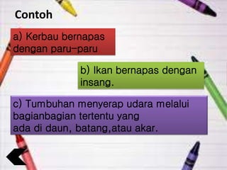 Contoh
a) Kerbau bernapas
dengan paru-paru.
b) Ikan bernapas dengan
insang.
c) Tumbuhan menyerap udara melalui
bagianbagian tertentu yang
ada di daun, batang,atau akar.
 