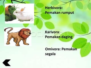 Herbivora:
Pemakan rumput
Karivora:
Pemakan daging
Omivora: Pemakan
segala
 