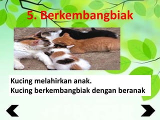 5. Berkembangbiak
Kucing melahirkan anak.
Kucing berkembangbiak dengan beranak
 