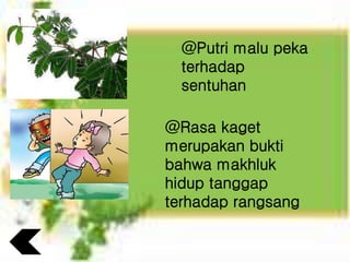 @Putri malu peka
terhadap
sentuhan
@Rasa kaget
merupakan bukti
bahwa makhluk
hidup tanggap
terhadap rangsang
 