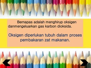 Bernapas adalah menghirup oksigen
danmengeluarkan gas karbon dioksida.
Oksigen diperlukan tubuh dalam proses
pembakaran zat makanan.
 