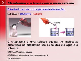 Entendendo um pouco o comportamento das soluções:
SOLUÇÃO = SOLVENTE + SOLUTO
O citoplasma é uma solução aquosa. As moléculas
dissolvidas no citoplasma são os solutos e a água é o
solvente.
CITOPLASMA: solução aquosa;
MOLÉCULAS: solutos (sais, íons, açúcares etc...);
ÁGUA: solvente.
Membranas e a troca como meio externo
 
