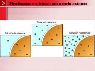Membranas e a troca como meio externo
 