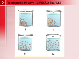 Transporte Passivo- DIFUSÃO SIMPLES
 