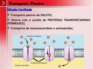 Transporte Passivo
Difusão FacilitadaDifusão Facilitada
 Transporte passivo de SOLUTO;Transporte passivo de SOLUTO;
 Ocorre com o auxílio de PROTEÍNAS TRANSPORTADORASOcorre com o auxílio de PROTEÍNAS TRANSPORTADORAS
(PERMEASES);(PERMEASES);
 Transporte de monossacarídeos e aminoácidos;Transporte de monossacarídeos e aminoácidos;
 
