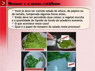  Você já deve ter comido salada de alface, de pepino ou
de tomate, temperada algumas horas antes.
 Então deve ter percebido duas coisas: o vegetal murcha
e a quantidade de líquido do fundo da saladeira aumenta.
 O que acontece nesse caso?
 Qual é o papel do tempero da salada neste processo?
 Você já deve ter comido salada de alface, de pepino ou
de tomate, temperada algumas horas antes.
 Então deve ter percebido duas coisas: o vegetal murcha
e a quantidade de líquido do fundo da saladeira aumenta.
 O que acontece nesse caso?
 Qual é o papel do tempero da salada neste processo?
Osmose e o nosso cotidiano
 