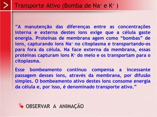 “A manutenção das diferenças entre as concentrações
interna e externa destes íons exige que a célula gaste
energia. Proteínas de membrana agem como “bombas” de
íons, capturando íons Na+
no citoplasma e transportando-os
para fora da célula. Na face externa da membrana, essas
proteínas capturam íons K+
do meio e os transportam para o
citoplasma.
Esse bombeamento contínuo compensa a incessante
passagem desses íons, através da membrana, por difusão
simples. O bombeamento ativo destes íons consome energia
da célula e, por isso, é denominado transporte ativo.”
Transporte Ativo (Bomba de Na+
e K+
)
 OBSERVAR A ANIMAÇÃO
 