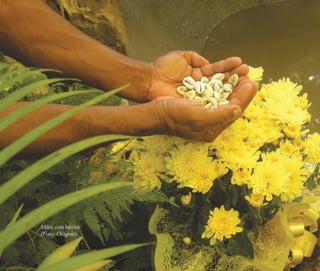 154 | Ruy do Carmo Póvoas
Mãos com búzios
(Foto: Olõgoni)
Feminino no candomblé_miolo final.indd 154Feminino no candomblé_miolo final.indd 154 28/9/2010 17:38:3128/9/2010 17:38:31
 