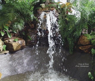 A memória do feminino no candomblé | 175
Fonte de Oxum
(Foto: Zamayongo)
Feminino no candomblé_miolo final.indd 175Feminino no candomblé_miolo final.indd 175 28/9/2010 17:39:0028/9/2010 17:39:00
 