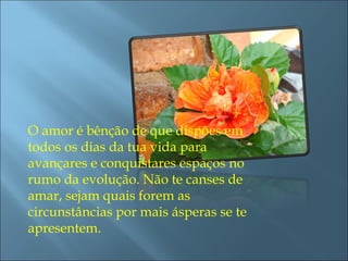 O amor é bênção de que dispões em todos os dias da tua vida para avançares e conquistares espaços no rumo da evolução. Não te canses de amar, sejam quais forem as circunstâncias por mais ásperas se te apresentem.  