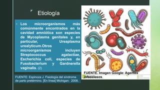 z
Etiología
 Los microorganismos más
comúnmente encontrados en la
cavidad amniótica son especies
de Mycoplasma genitales y, en
particular, Ureaplasma
urealyticum.Otros
microorganismos incluyen
Streptococcus agalactiae,
Escherichia coli, especies de
Fusobacterium y Gardnerella
vaginalis. (2)
FUENTE. Imagen Google: Agentes
infecciosos.
FUENTE: Espinoza J. Fisiología del síndrome
de parto pretérmino. [En línea] Michigan: 2008.
 