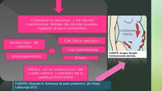z
(3)
FUENTE. Imagen Google:
Contracciones uterinas..
FUENTE: Alvarado A. Amenaza de parto pretermino. [En línea]
Latacunga 2012.
 