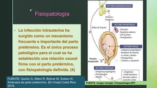 z
Fisiopatología
 La infección intrauterina ha
surgido como un mecanismo
frecuente e importante del parto
pretérmino. Es el único proceso
patológico para el cual se ha
establecido una relación causal
firme con el parto pretérmino,
con fisiopatología definida. (4)
FUENTE. Imagen Google: Fisiopatologia APP.
FUENTE: Quiróz G, Alfaro R, Bolivar M, Solano N.
Amenaza de parto pretermino. [En línea] Costa Rica
2016.
 