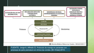 z
(5)
FUENTE: Jorge A, Alfredo G. Protocolo de manejo en pacientes con
amenaza de parto prematuro en clínica las condes. [En línea] 2014.
 