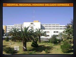 HOSPITAL REGIONAL HONORIO DELGADO ESPINOZA
05/04/2013 1
 