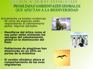 Actualmente ya existen evidencias de cómo las especies están respondiendo al calentamiento global. Algunos ejemplos: Mamíferos del ártico como el oso polar están sintiendo los estragos del calentamiento global en la disminución del hielo Poblaciones de pingüinos han disminuido en un 33% en partes de la Antártica El cambio climático altera el comportamiento de las aves migratorias PROBLEMAS AMBIENTALES GLOBALES  QUE AFECTAN A LA BIODIVERSIDAD 