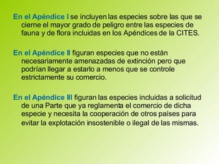 En el Apéndice I  se incluyen las especies sobre las que se cierne el mayor grado de peligro entre las especies de fauna y de flora incluidas en los Apéndices de la CITES.  En el Apéndice II  figuran especies que no están necesariamente amenazadas de extinción pero que podrían llegar a estarlo a menos que se controle estrictamente su comercio. En el Apéndice III  figuran las especies incluidas a solicitud de una Parte que ya reglamenta el comercio de dicha especie y necesita la cooperación de otros países para evitar la explotación insostenible o ilegal de las mismas.   