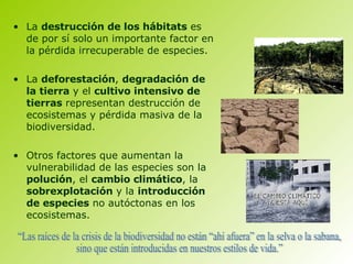 La  destrucción de los hábitats  es de por sí solo un importante factor en la pérdida irrecuperable de especies. La  deforestación ,  degradación de la tierra  y el  cultivo intensivo de tierras  representan destrucción de ecosistemas y pérdida masiva de la biodiversidad. Otros factores que aumentan la vulnerabilidad de las especies son la  polución , el  cambio climático , la  sobrexplotación  y la  introducción de especies  no autóctonas en los ecosistemas. “Las raíces de la crisis de la biodiversidad no están “ahí afuera” en la selva o la sabana, sino que están introducidas en nuestros estilos de vida.”    