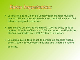 La lista roja de la Unión de Conservación Mundial muestra que un 18% de todos los vertebrados clasificados en el 2002 están en peligro de extinción. Esto incluye un 24% de mamíferos, 12% de aves, 25% de reptiles, 21% de anfibios y un 30% de peces. Un 49% de las plantas clasificadas en el 2002 están en extinción. Se estima que la tasa anual de pérdida de especies fluctúa entre 1.000 y 10.000 veces más alta que la pérdida natural de éstas.   Datos Importantes: 