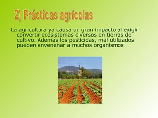 La agricultura ya causa un gran impacto al exigir convertir ecosistemas diversos en tierras de cultivo. Además los pesticidas, mal utilizados pueden envenenar a muchos organismos  2) Prácticas agrícolas 