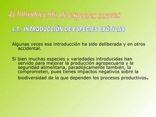 Algunas veces esa introducción ha sido deliberada y en otros accidental. Si bien muchas especies y variedades introducidas han servido para mejorar la producción agropecuaria y la seguridad alimentaría, paradójicamente también, la comprometen, pues tienes impactos negativos sobre la biodiversidad de la que dependen los procesos productivos .       4) Introducción de especies nuevas 4.1.- INTRODUCCIÓN DE ESPECIES EXÓTICAS 