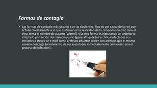 Formas de contagio
• Las formas de contagio más usuales son las siguientes: Una es por causa de la red que
actúan directamente a lo que es disminuir la velocidad de tu conexión (en este caso el
virus toma el nombre de gusano [Worm]), y la otra forma es ejecutando un archivo ya
infectado por acción del mismo usuario (generalmente los archivos infectados son
enviados a través de e-mail como archivos adjuntos o bien son archivos que el mismo
usuario descarga [al momento de ser ejecutados inmediatamente comienzan con el
proceso de infección]).
 