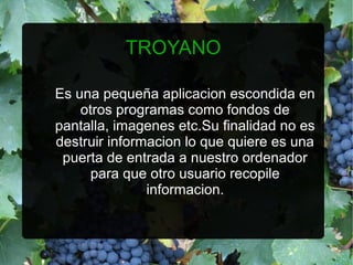 TROYANO

Es una pequeña aplicacion escondida en
    otros programas como fondos de
pantalla, imagenes etc.Su finalidad no es
destruir informacion lo que quiere es una
 puerta de entrada a nuestro ordenador
      para que otro usuario recopile
               informacion.
 