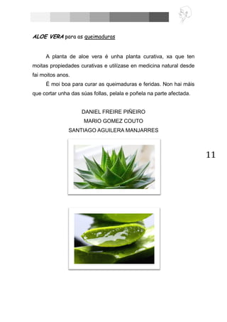11
ALOE VERA para as queimaduras
A planta de aloe vera é unha planta curativa, xa que ten
moitas propiedades curativas e utilízase en medicina natural desde
fai moitos anos.
É moi boa para curar as queimaduras e feridas. Non hai máis
que cortar unha das súas follas, pelala e poñela na parte afectada.
DANIEL FREIRE PIÑEIRO
MARIO GOMEZ COUTO
SANTIAGO AGUILERA MANJARRES
 