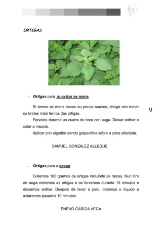 9
ORTIGAS
- Ortigas para suavizar as mans
Si temos as mans secas ou pouco suaves, chega con tomar
os brotes máis tenros das ortigas.
Fervelos durante un cuarto de hora con auga. Deixar enfriar e
colar a mezcla.
Aplicar con algodón dando golpeciños sobre a zona afectada.
SAMUEL GONZALEZ ALLEGUE
- Ortigas para a caspa
Collemos 100 gramos de ortigas incluíndo as raíces. Nun litro
de auga metemos as ortigas e as fervemos durante 15 minutos e
deixamos enfriar. Despois de lavar o pelo, botamos o líquido e
aclaramos pasados 10 minutos.
ENEKO GARCÍA VEGA
 