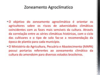 O objetivo do zoneamento agroclimático é orientar os
agricultores sobre os riscos de adversidades climáticas
coincidentes com as fases mais sensíveis da cultura. Através
da correlação entre as séries climáticas históricas, com o ciclo
das cultivares e o tipo de solo faz-se a recomendação da
época de plantio para cada município.
O Ministério da Agricultura, Pecuária e Abastecimento (MAPA)
possui portarias referentes ao zoneamento climático da
cultura do amendoim para diversos estados brasileiros.
 