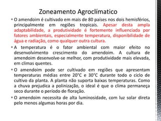  O amendoim é cultivado em mais de 80 países nos dois hemisférios,
principalmente em regiões tropicais. Apesar desta ampla
adaptabilidade, a produtividade é fortemente influenciada por
fatores ambientais, especialmente temperatura, disponibilidade de
água e radiação, como qualquer outra cultura.
 A temperatura é o fator ambiental com maior efeito no
desenvolvimento crescimento do amendoim. A cultura de
amendoim desenvolve-se melhor, com produtividade mais elevada,
em climas quentes.
 O amendoim pode ser cultivado em regiões que apresentam
temperaturas médias entre 20°C e 30°C durante todo o ciclo de
cultivo da planta. A planta não suporta baixas temperaturas. Como
a chuva prejudica a polinização, o ideal é que o clima permaneça
seco durante o período de floração.
 O amendoim necessita de alta luminosidade, com luz solar direta
pelo menos algumas horas por dia.
 