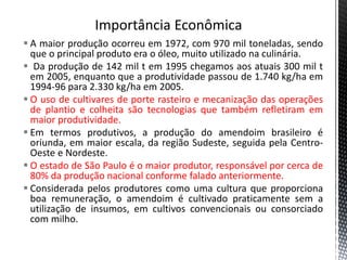  A maior produção ocorreu em 1972, com 970 mil toneladas, sendo
que o principal produto era o óleo, muito utilizado na culinária.
 Da produção de 142 mil t em 1995 chegamos aos atuais 300 mil t
em 2005, enquanto que a produtividade passou de 1.740 kg/ha em
1994-96 para 2.330 kg/ha em 2005.
 O uso de cultivares de porte rasteiro e mecanização das operações
de plantio e colheita são tecnologias que também refletiram em
maior produtividade.
 Em termos produtivos, a produção do amendoim brasileiro é
oriunda, em maior escala, da região Sudeste, seguida pela Centro-
Oeste e Nordeste.
 O estado de São Paulo é o maior produtor, responsável por cerca de
80% da produção nacional conforme falado anteriormente.
 Considerada pelos produtores como uma cultura que proporciona
boa remuneração, o amendoim é cultivado praticamente sem a
utilização de insumos, em cultivos convencionais ou consorciado
com milho.
 
