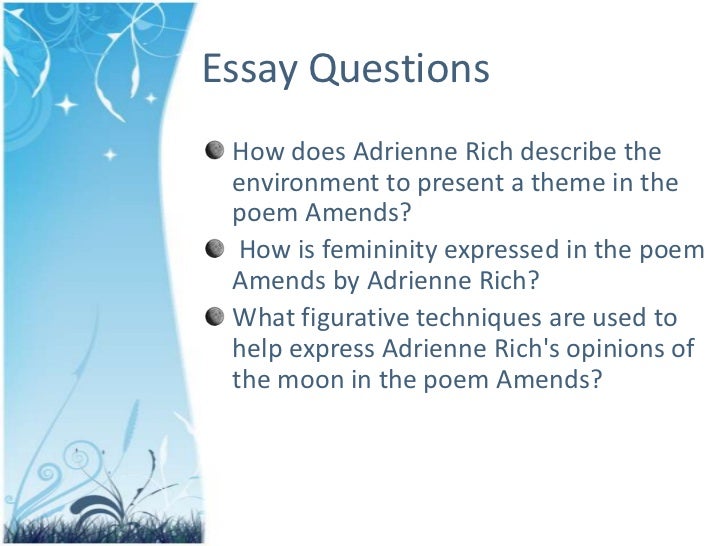 amends essay reader online