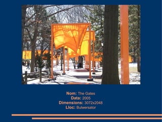 Nom: The Gates
      Data: 2005
Dimensions: 3072x2048
   Lloc: Bulwersator
 