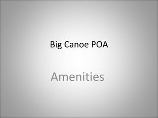 Big Canoe POA Amenities  