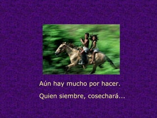 Aún hay mucho por hacer. Quien siembre, cosechará... 