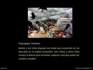 Tegucigalpa, Honduras  Buitres y los niños disputan los restos que encuentran en los basurales en la capital hondureña. Juan Flores y otros niños revisan la basura para encontrar cualquier cosa que pueda ser comido o vendido. 