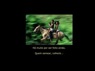 Há muito por ser feito ainda.   Quem semear, colherá... 